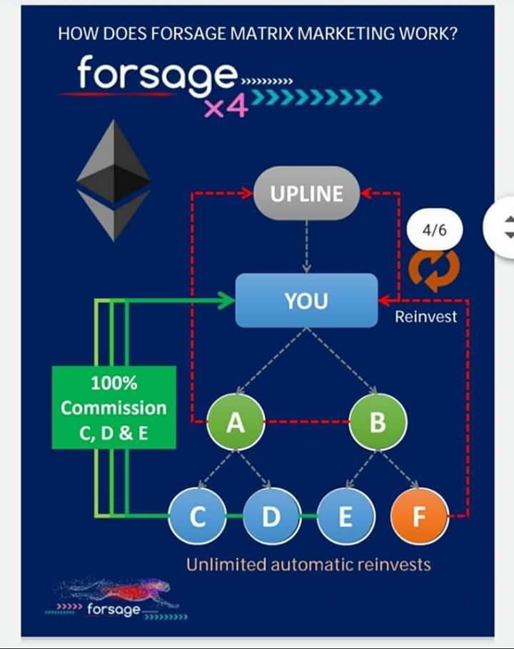 how-forsage-works-X4-EDIT - TAS.v7